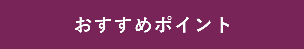 おすすめポイント